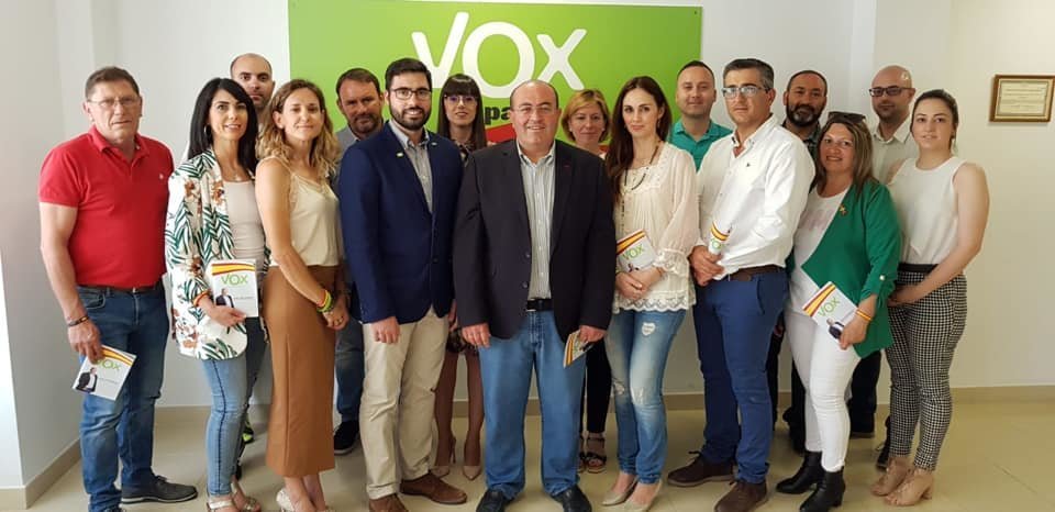 vox grupo